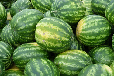 Similar image 21337351