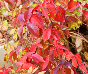 Similar image 21337426