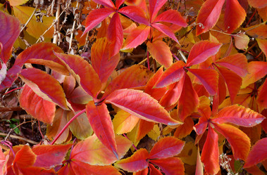 Similar image 21337429