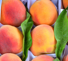 Similar image 21337432