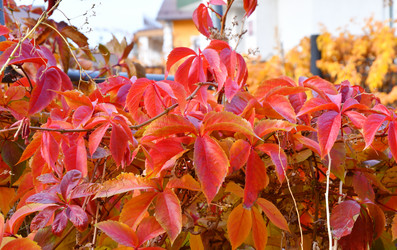 Similar image 21337434