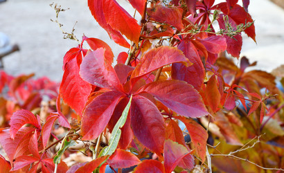 Similar image 21337436