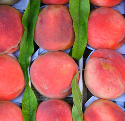 Similar image 21337440