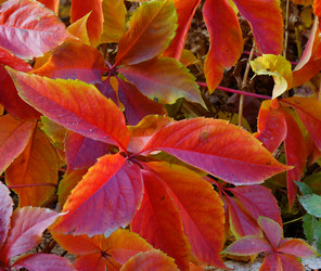 Similar image 21337444