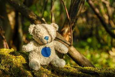 Similar image 21323332