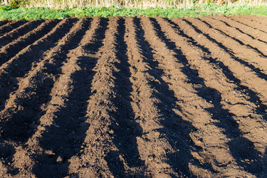 Similar image 21323342