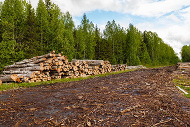 Similar image 21323357