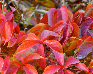 Similar image 21338034