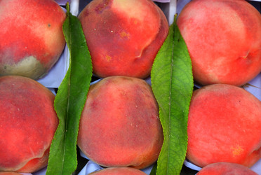 Similar image 21338037