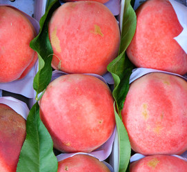 Similar image 21338041