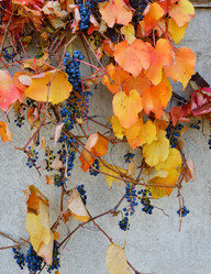 Similar image 21338050