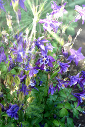 Similar image 21337249