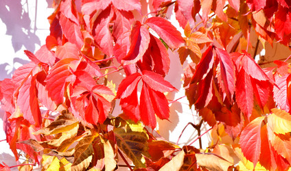 Similar image 21337292