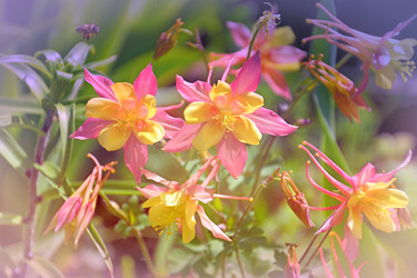 Similar image 21337293