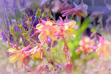 Similar image 21337297