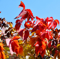 Similar image 21337298