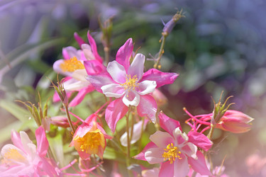 Similar image 21337299