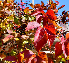 Similar image 21337300