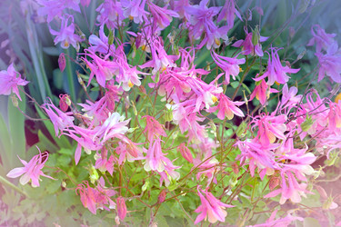 Similar image 21337301