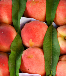 Similar image 21337304