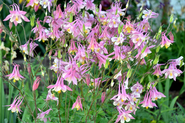 Similar image 21337305