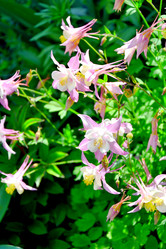 Similar image 21337307