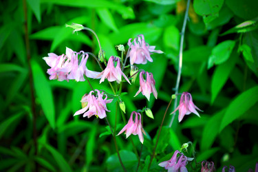 Similar image 21337312