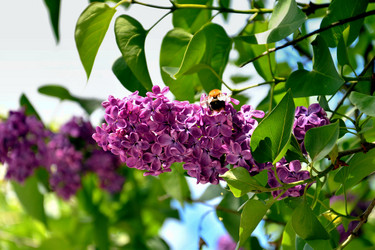 Similar image 21337314