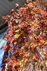 Similar image 21337362