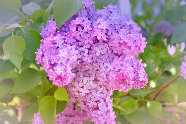 Similar image 21337363