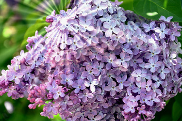 Similar image 21337364