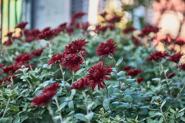 Similar image 21324703