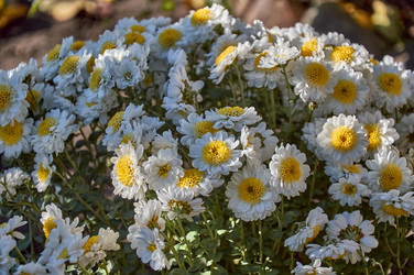 Similar image 21324704