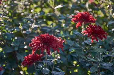 Similar image 21324705