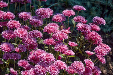 Similar image 21324706