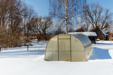 Similar image 21323254