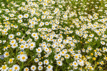 Similar image 21323280