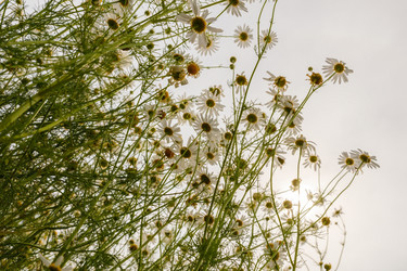 Similar image 21323366