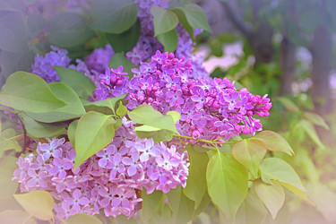 Similar image 21338059