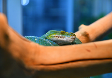 Similar image 21338060