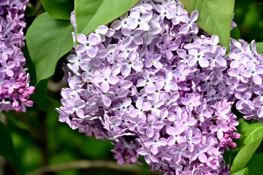 Similar image 21338061