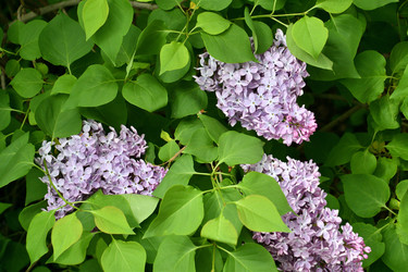 Similar image 21338063