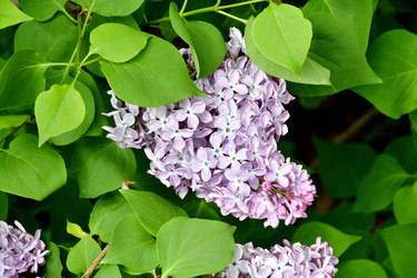 Similar image 21338064