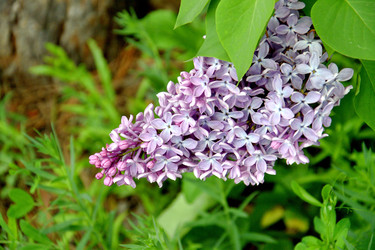 Similar image 21338065