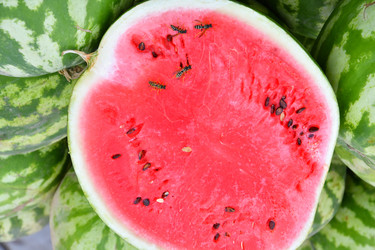 Similar image 21338075