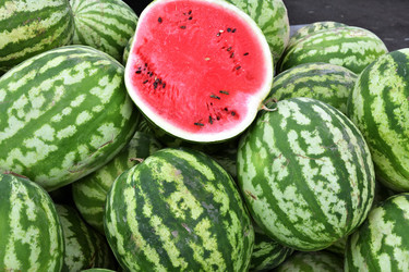 Similar image 21338076