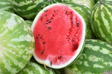 Similar image 21338078