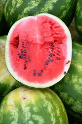 Similar image 21338079