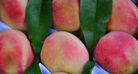 Similar image 21338080