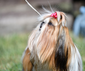 Similar image 21338082